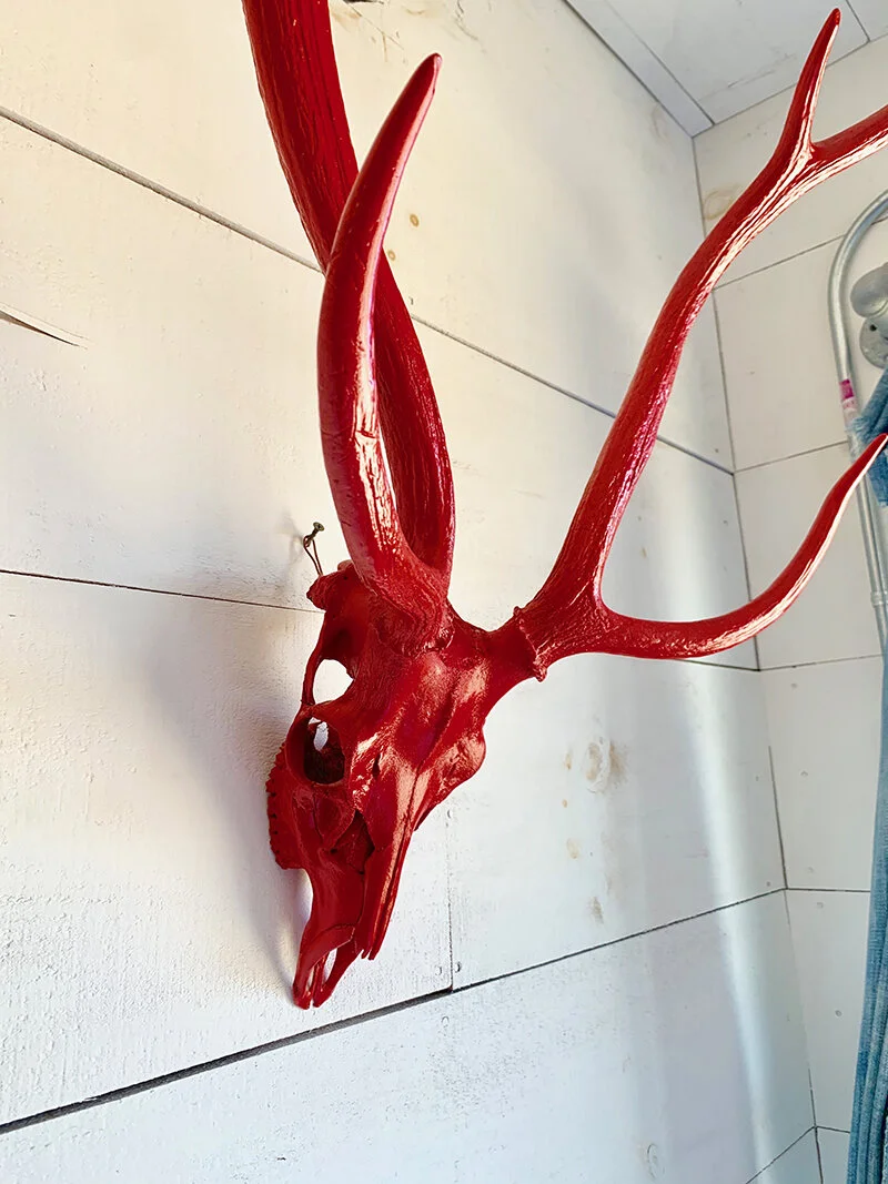 FLOPHOUZE SHIPPING CONTAINER HOTEL -Axis Deer Skull